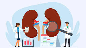 Online registration for Kidney transplant