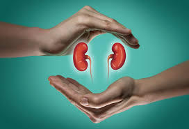 I need a kidney donor now