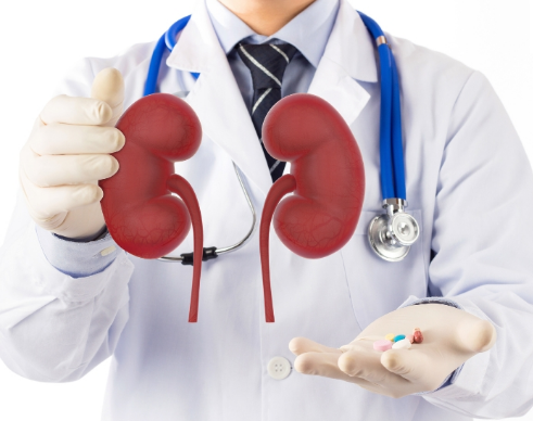 Life After a Kidney Transplant: How to Care for Your New Kidney