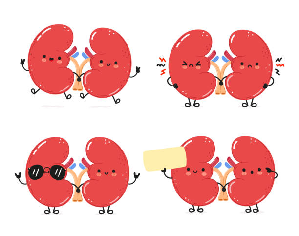 Kidney transplant success rate in India