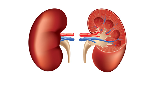 Causes & Complications of Acute Renal Failure
