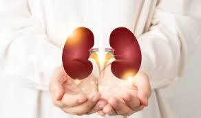 Low wait time for kidney transplant