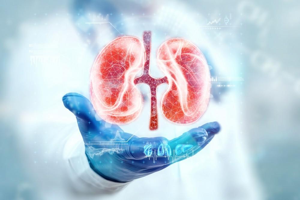 Kidney Transplant Success Rates, Causes & Symptoms