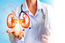 Best hospitals for kidney transplant in India