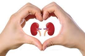 Kidney transplant cost in India