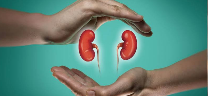 Is a Kidney Transplant Right for You? Here’s How to Tell