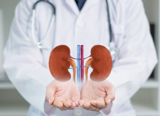  What Happens During a Kidney Transplant? A Beginner’s Guide